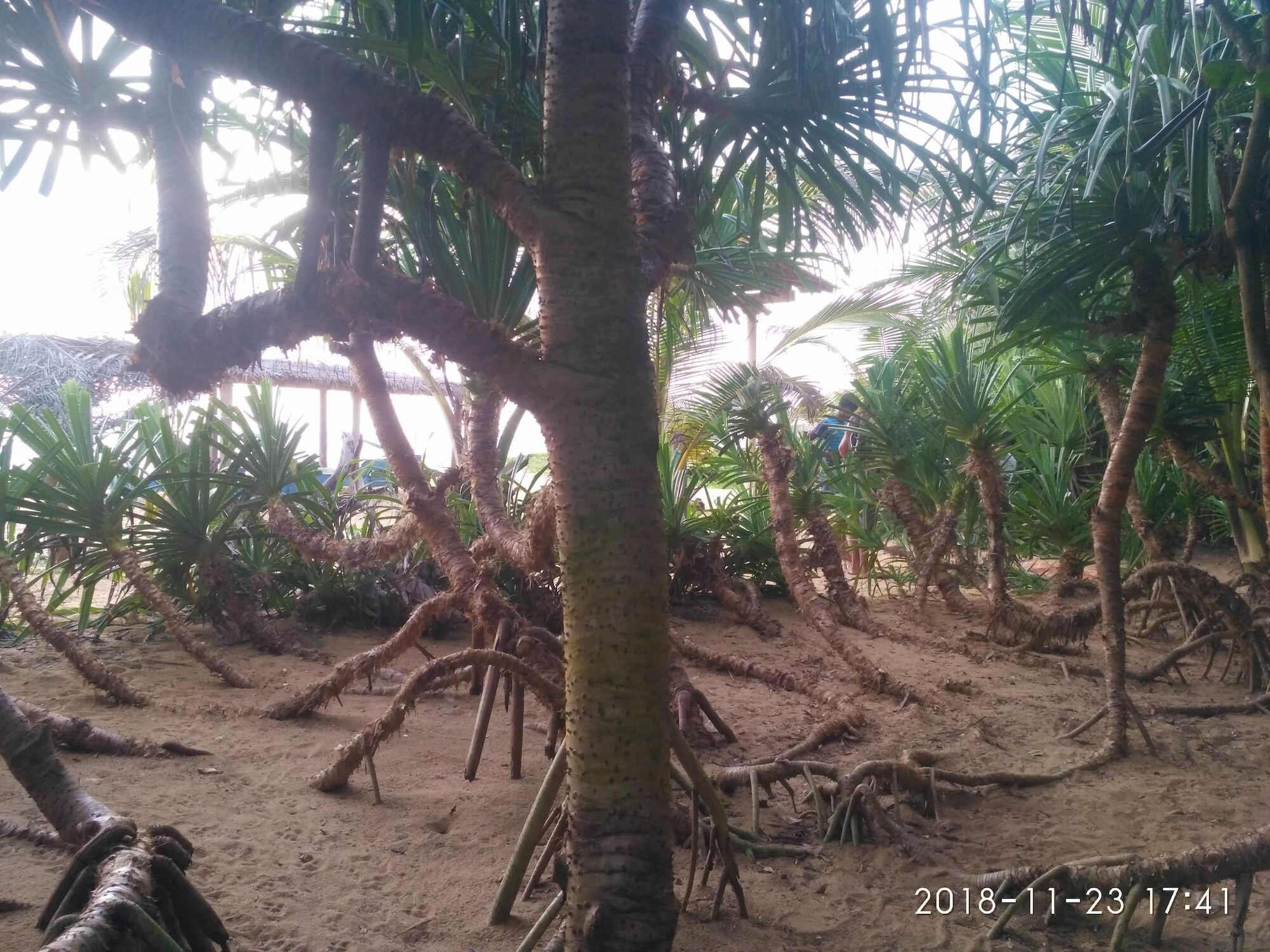 Ravana - Beach Cabanas Hikkaduwa Luaran gambar